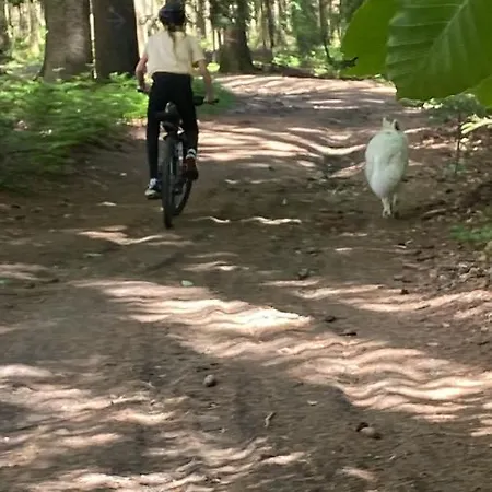 아파트 Les Du Domaine D'eva