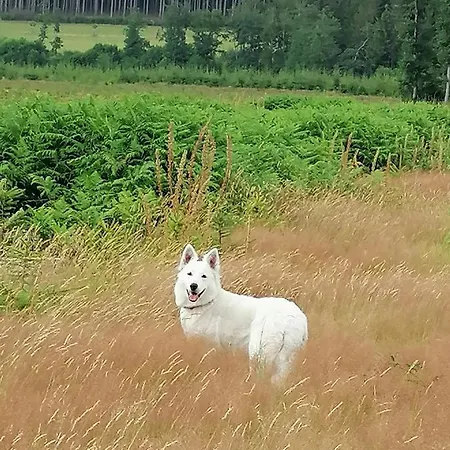 Daire Les Du Domaine D'eva